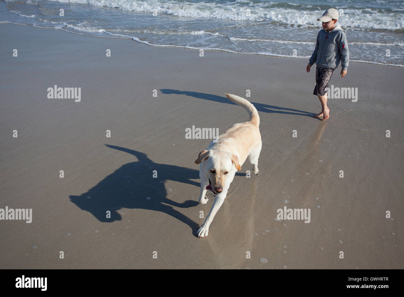 Young boy and dog on the beach, Milnerton Beach, South Africa Stock Photo