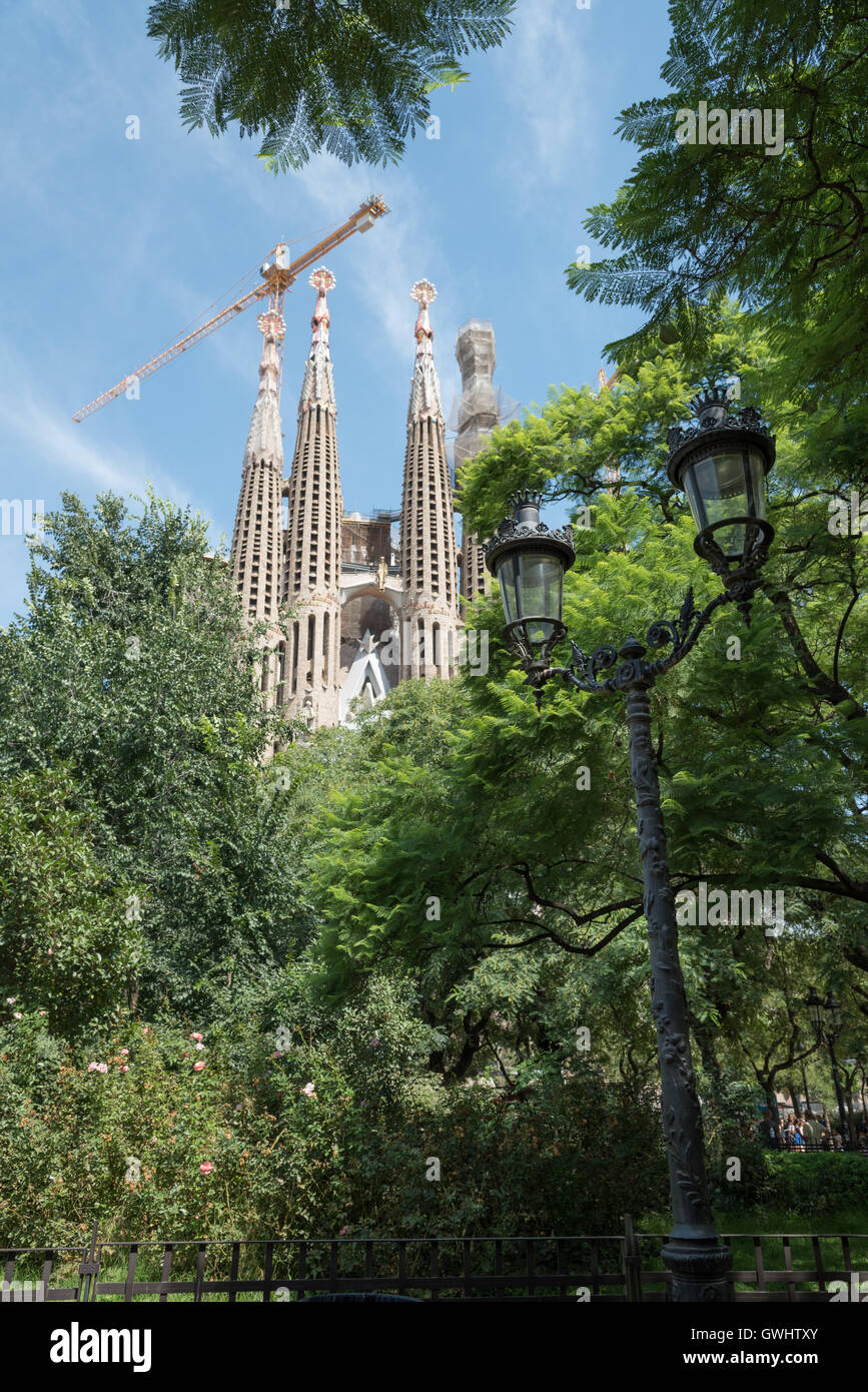 The iconic and unfinished stunning Gaudi Cathedral in the distance, The Sagrada Familia, Barcelona, seen through green trees Stock Photo