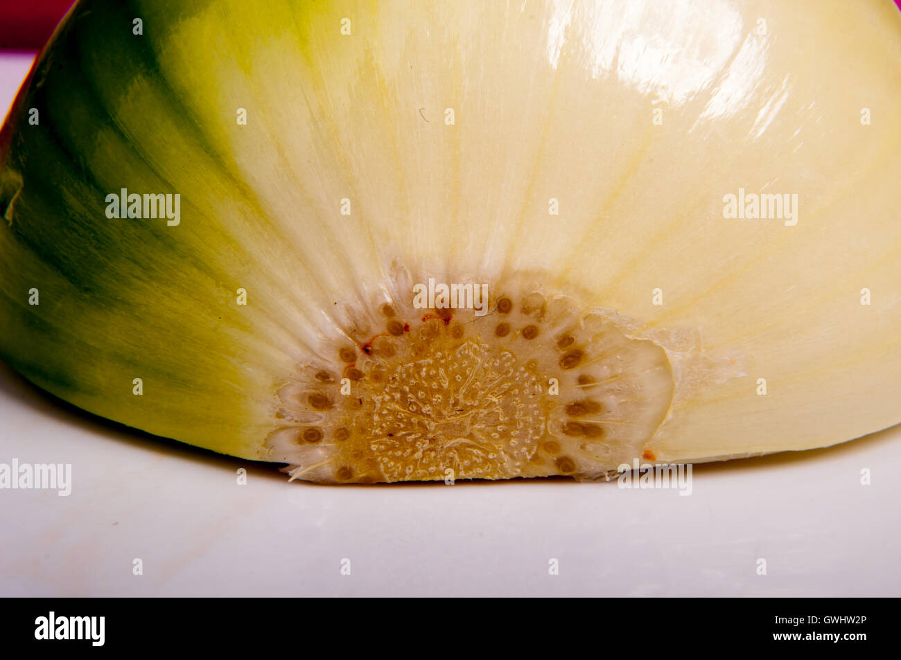 Onion close up Stock Photo - Alamy