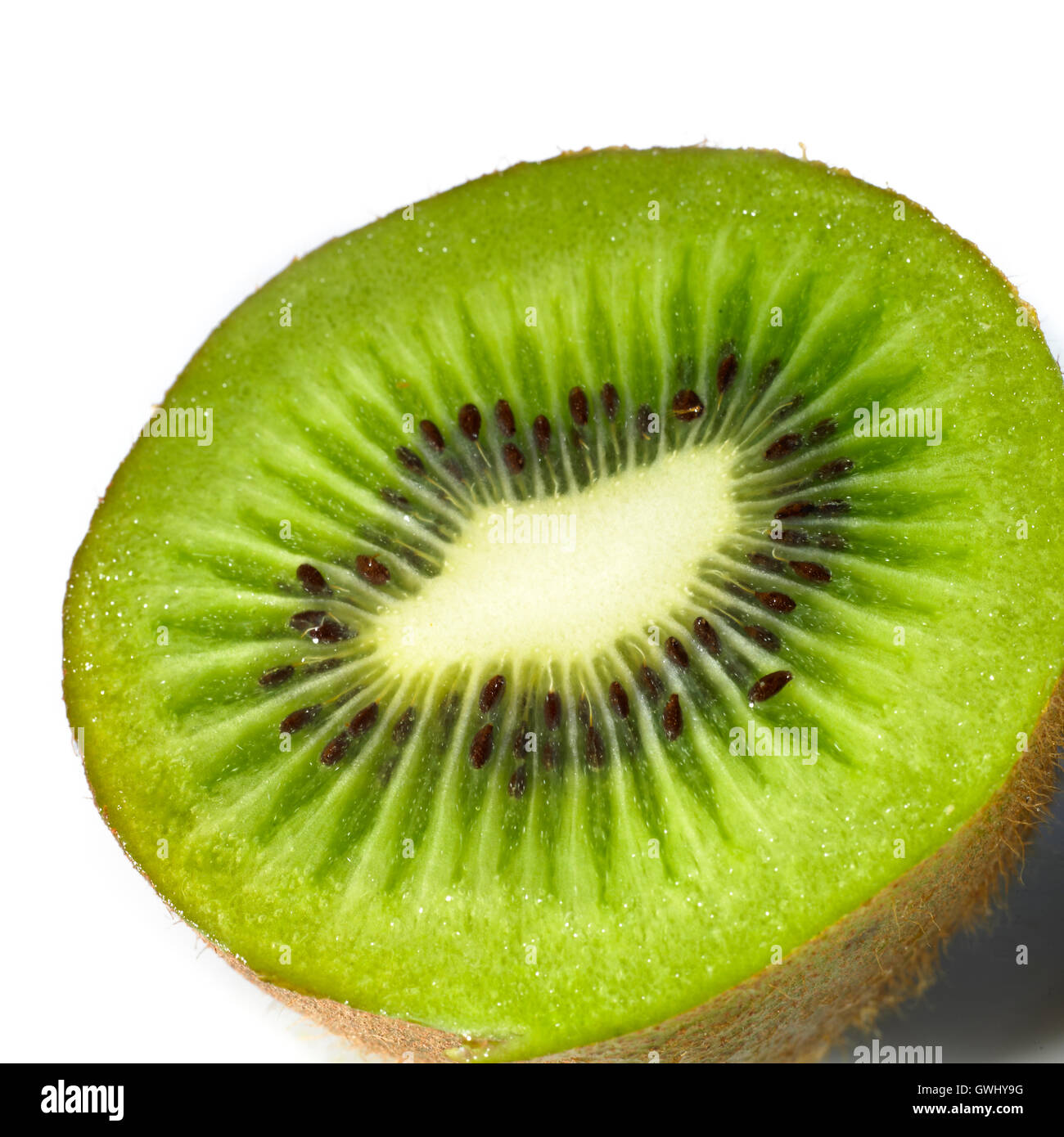 Close up kiwi on white hi-res stock photography and images - Alamy