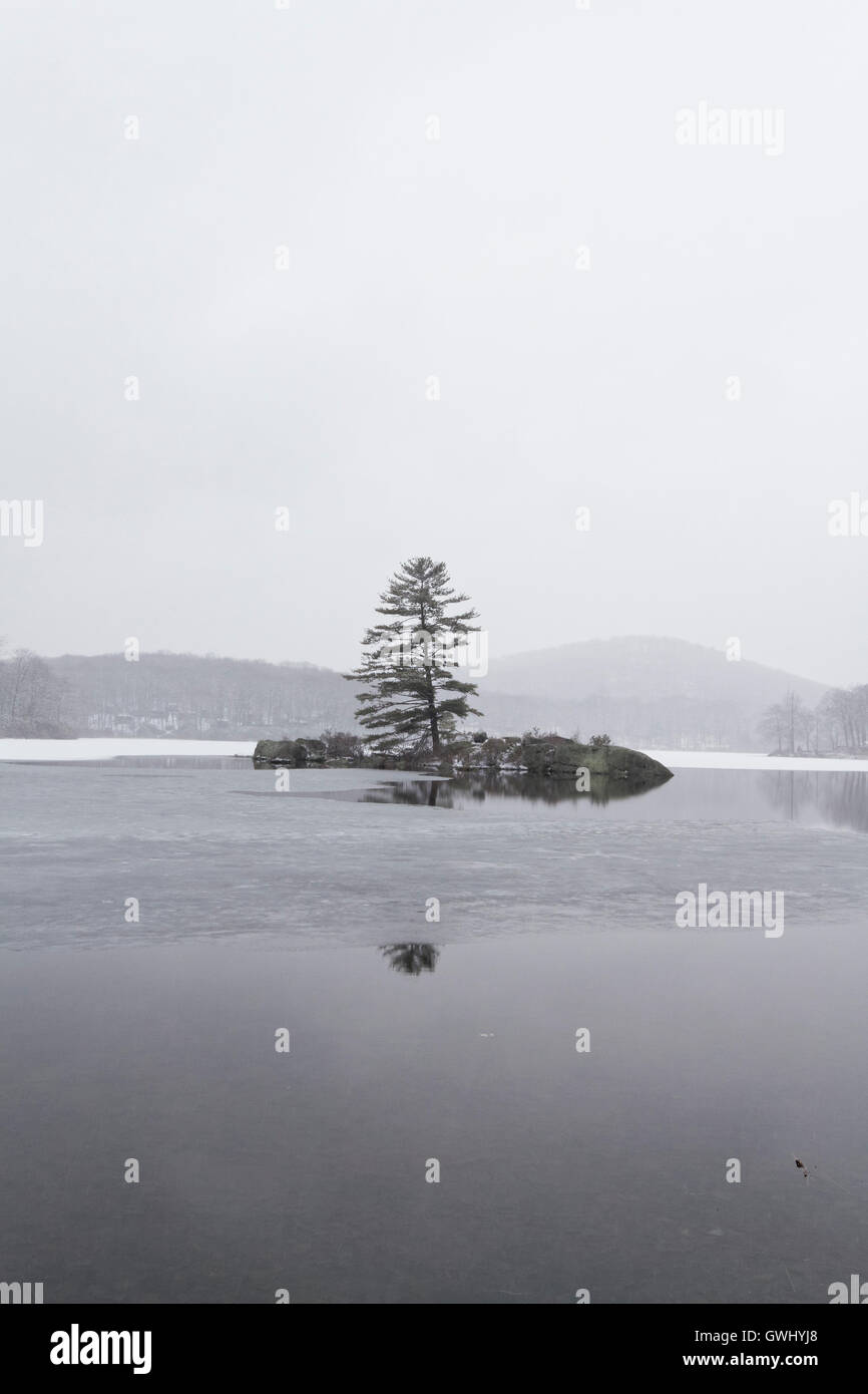Beautiful view of the frozen forest lake in the winter Stock Photo - Alamy