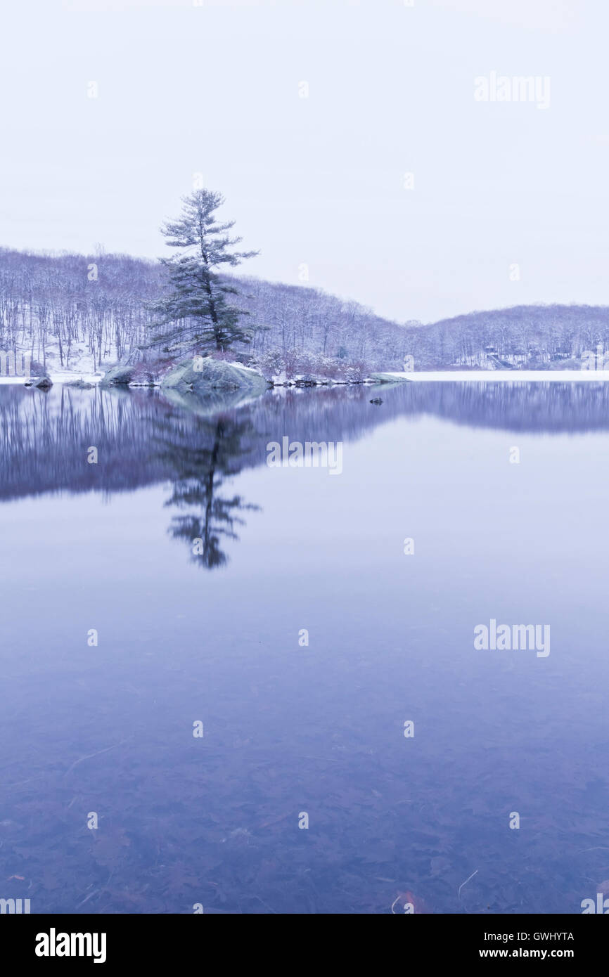 Beautiful view of the frozen forest lake in the winter Stock Photo - Alamy