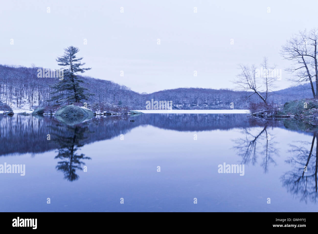 Beautiful view of the frozen forest lake in the winter Stock Photo - Alamy