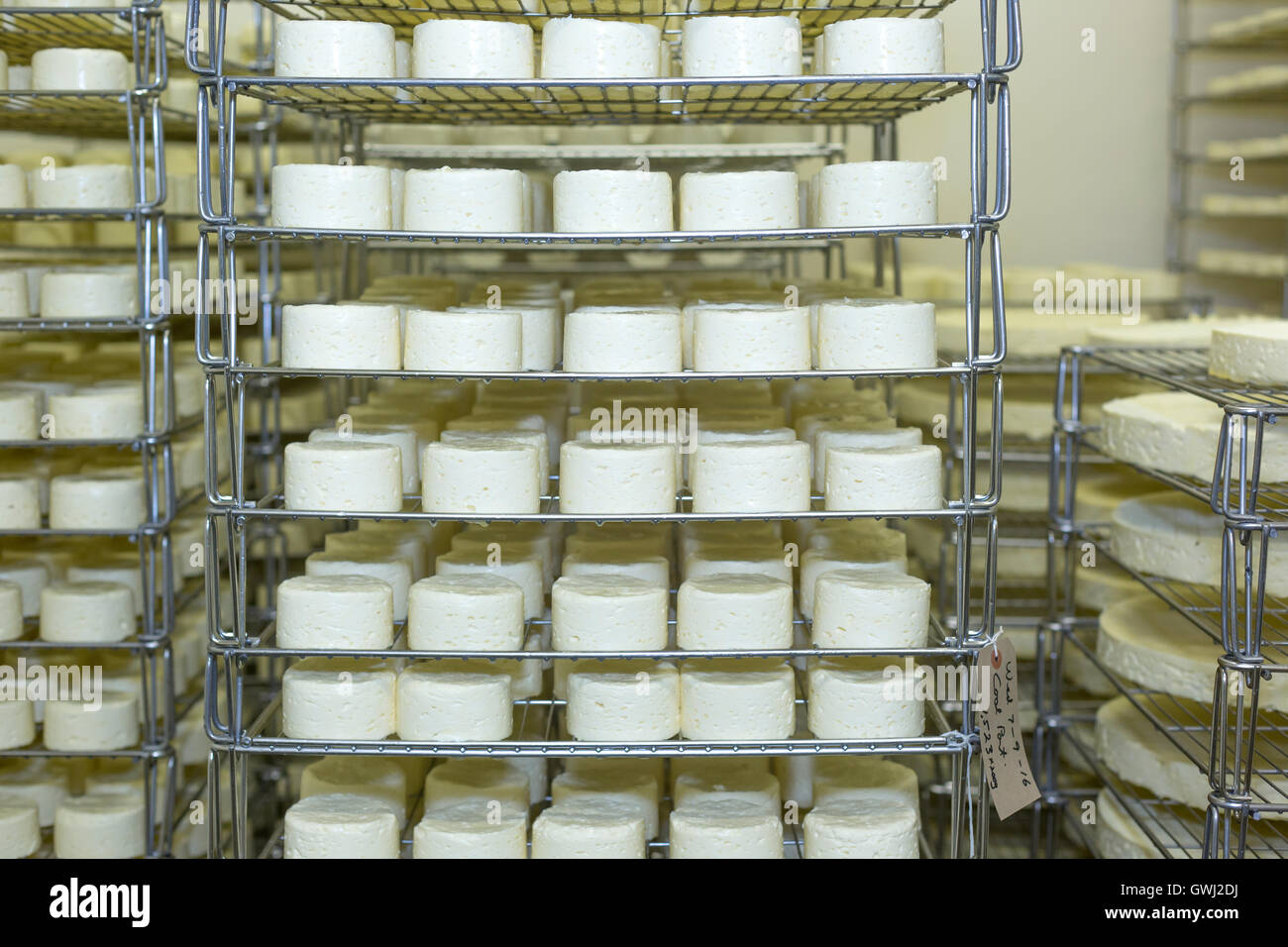 Ripening Cheeses. Irish cheese making farm, County Tipperary, Ireland