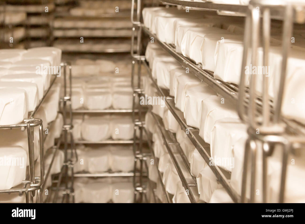 Ripening Cheeses. Irish cheese making farm, County Tipperary, Ireland