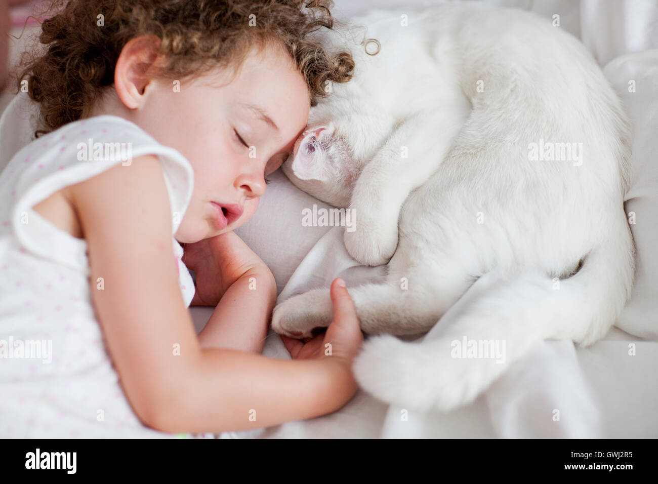 Little girl sleeping with white cat Stock Photo