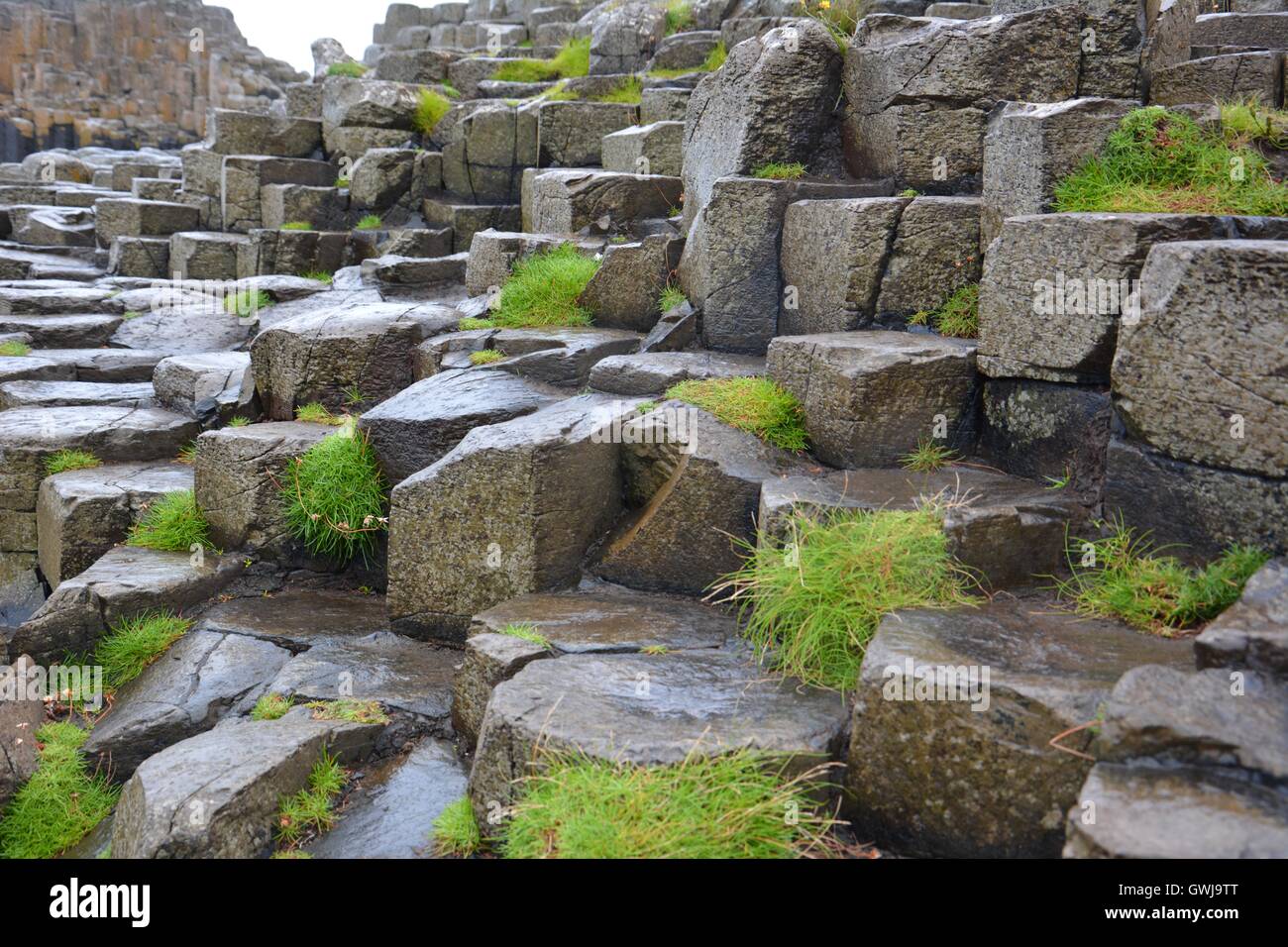 Stone formations at the Giant's Causeway Stock Photo