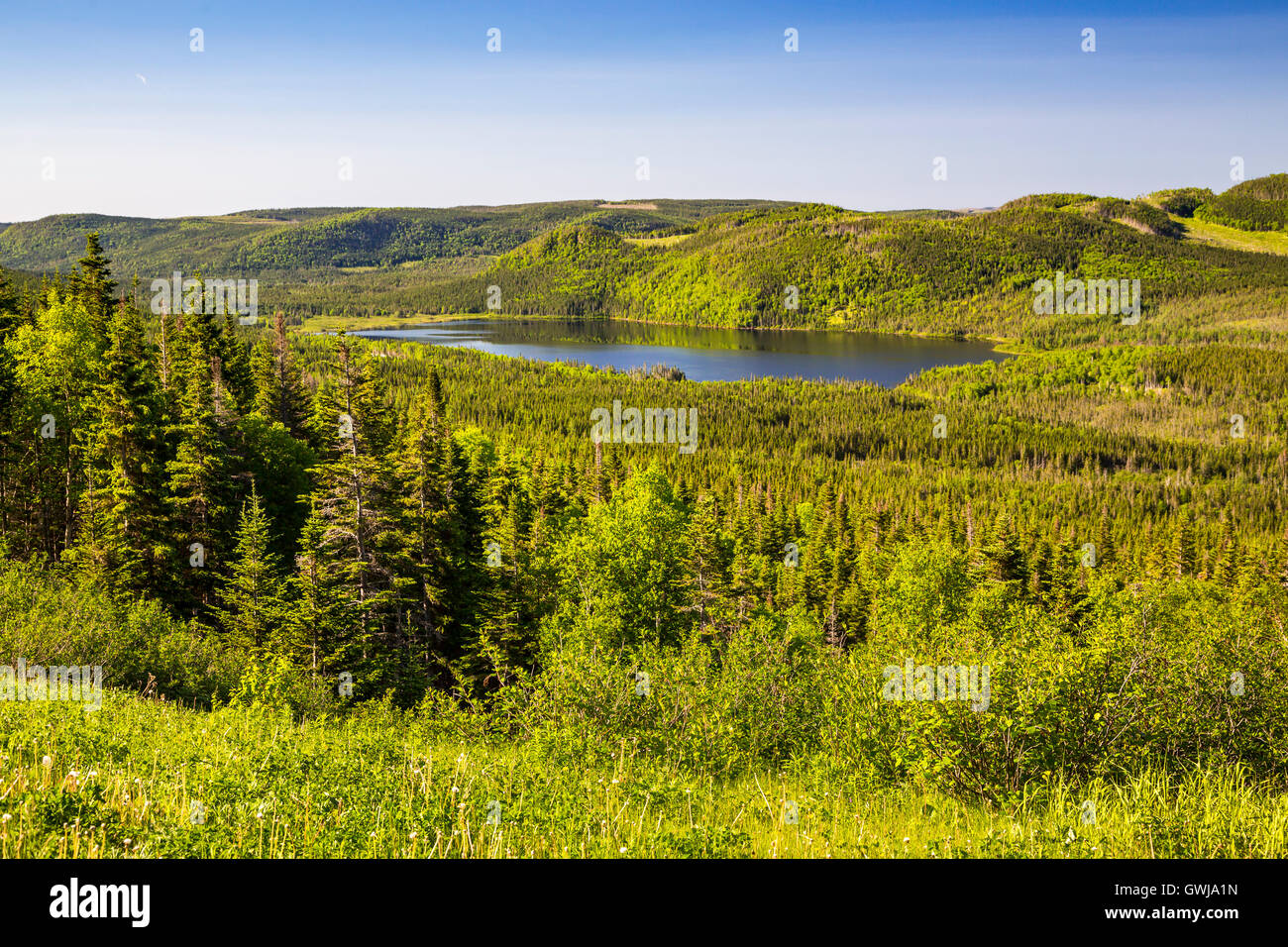 Coastal scenery in Gros Morne National Park, Newfoundland and Labrador, Canada. Stock Photo