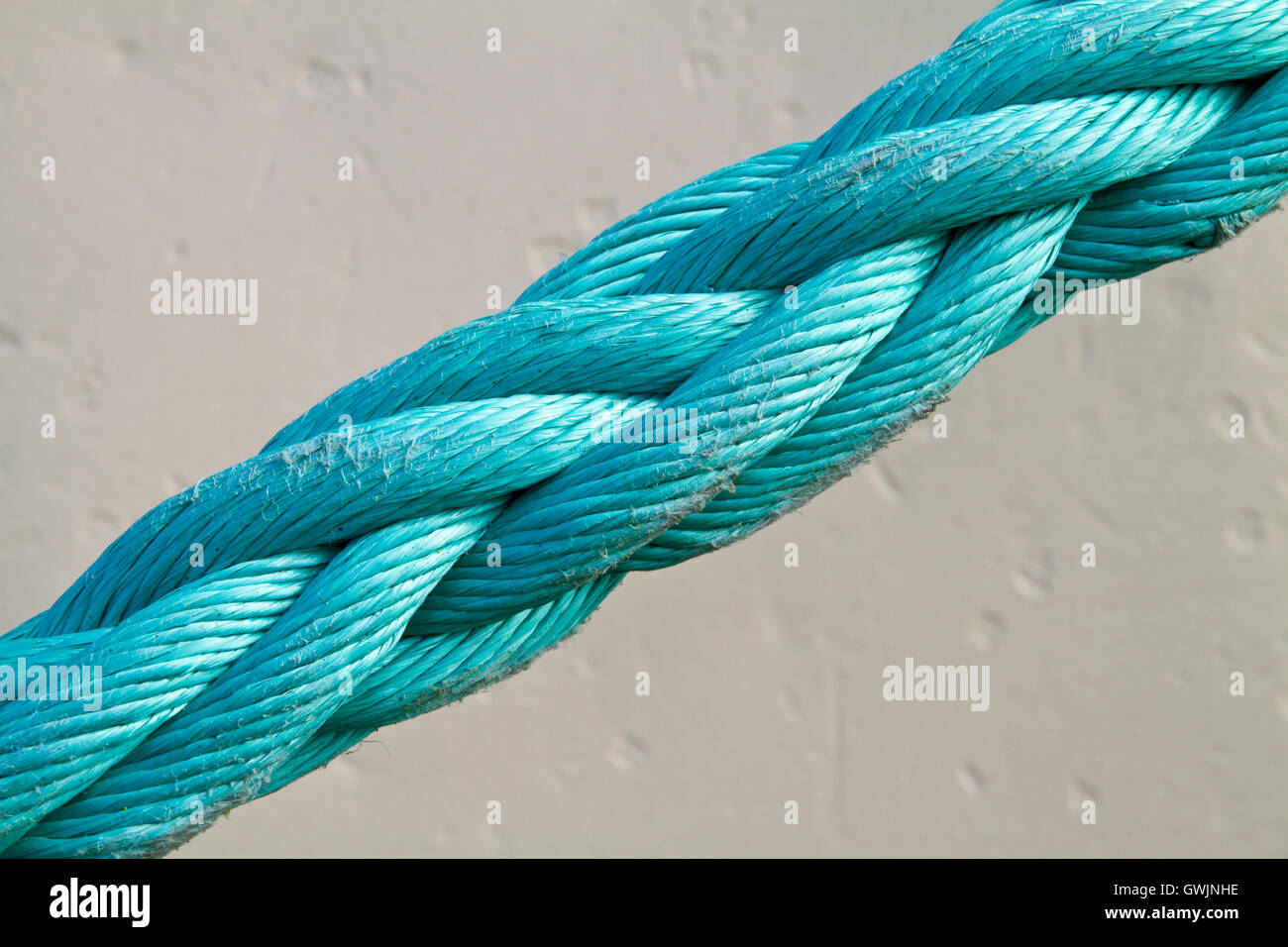 Close up of a blue slightly warn mooring rope under tension against a white background Stock Photo
