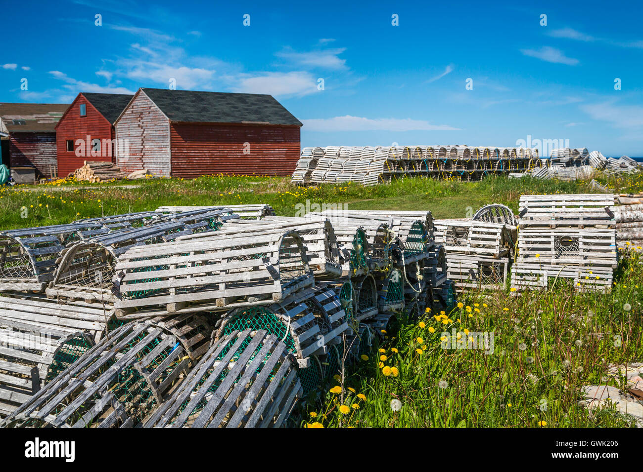Salt box homes and colorful fishing stages with lobster traps in the village of Cow Head