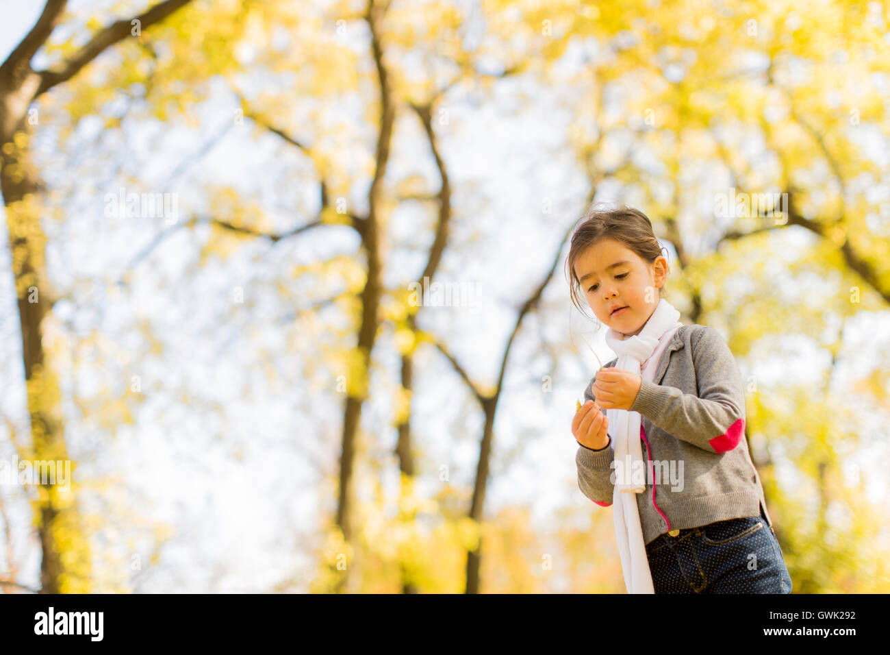 Cute little girl in the park at autumn Stock Photo - Alamy