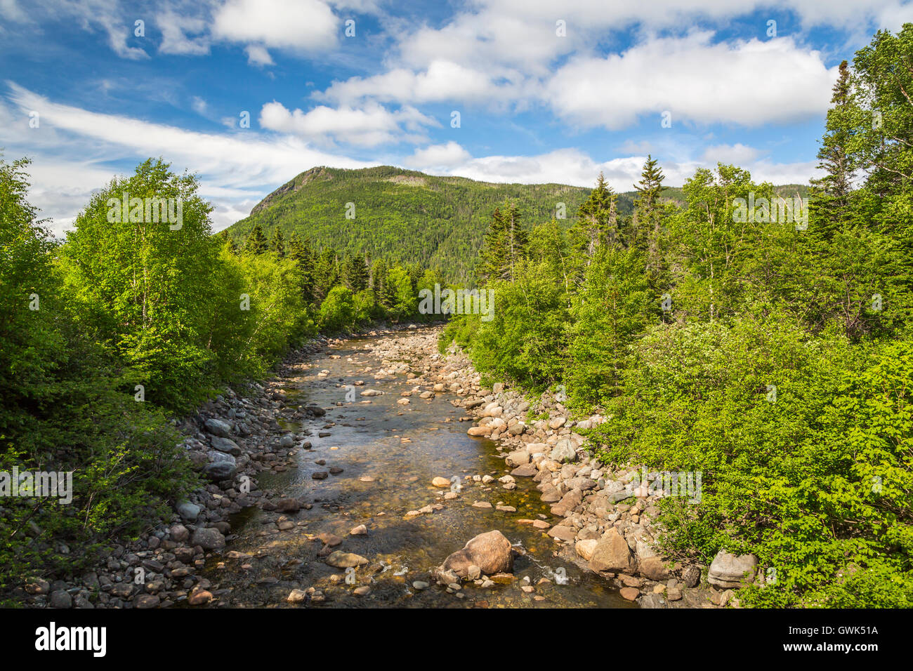 A small stream in Gros Morne National Park, Newfoundland and Labrador, Canada. Stock Photo