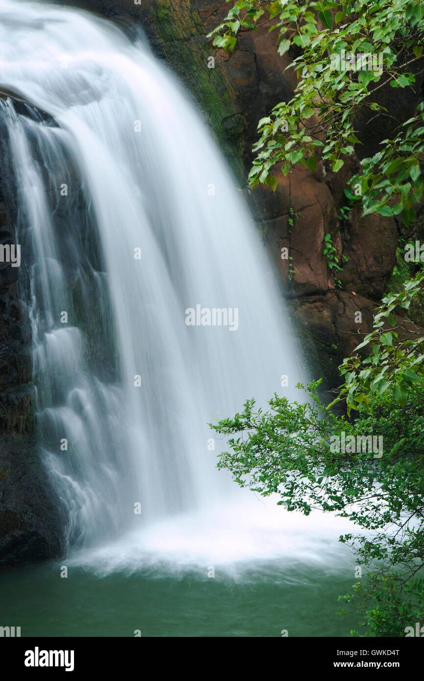 The image of Waterfall in Bhandardara, Maharashtra, western ghats, monsoon, India Stock Photo