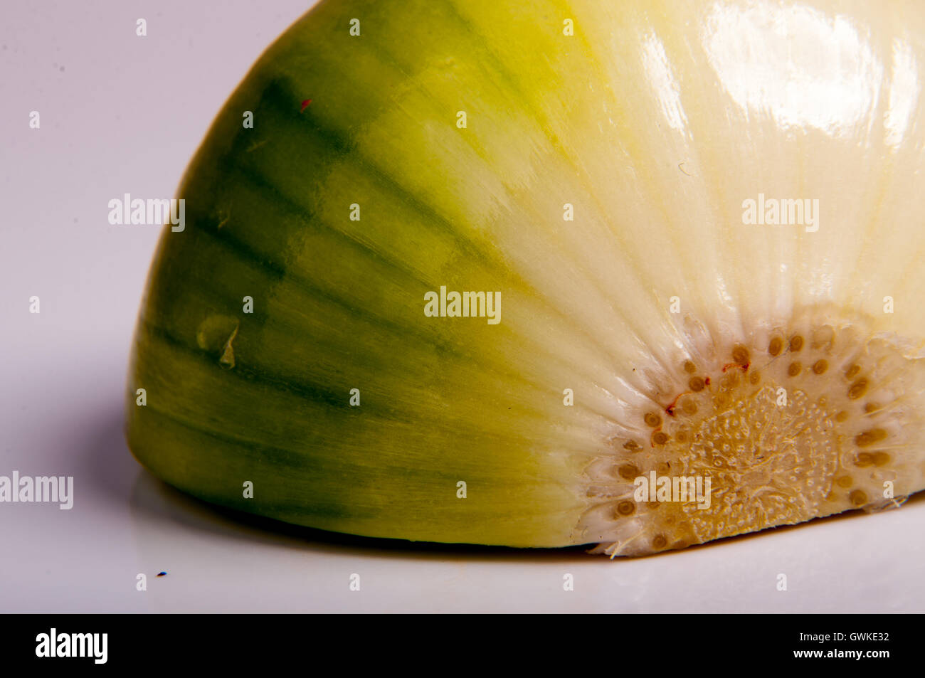 Onyon Onion close up Stock Photo - Alamy