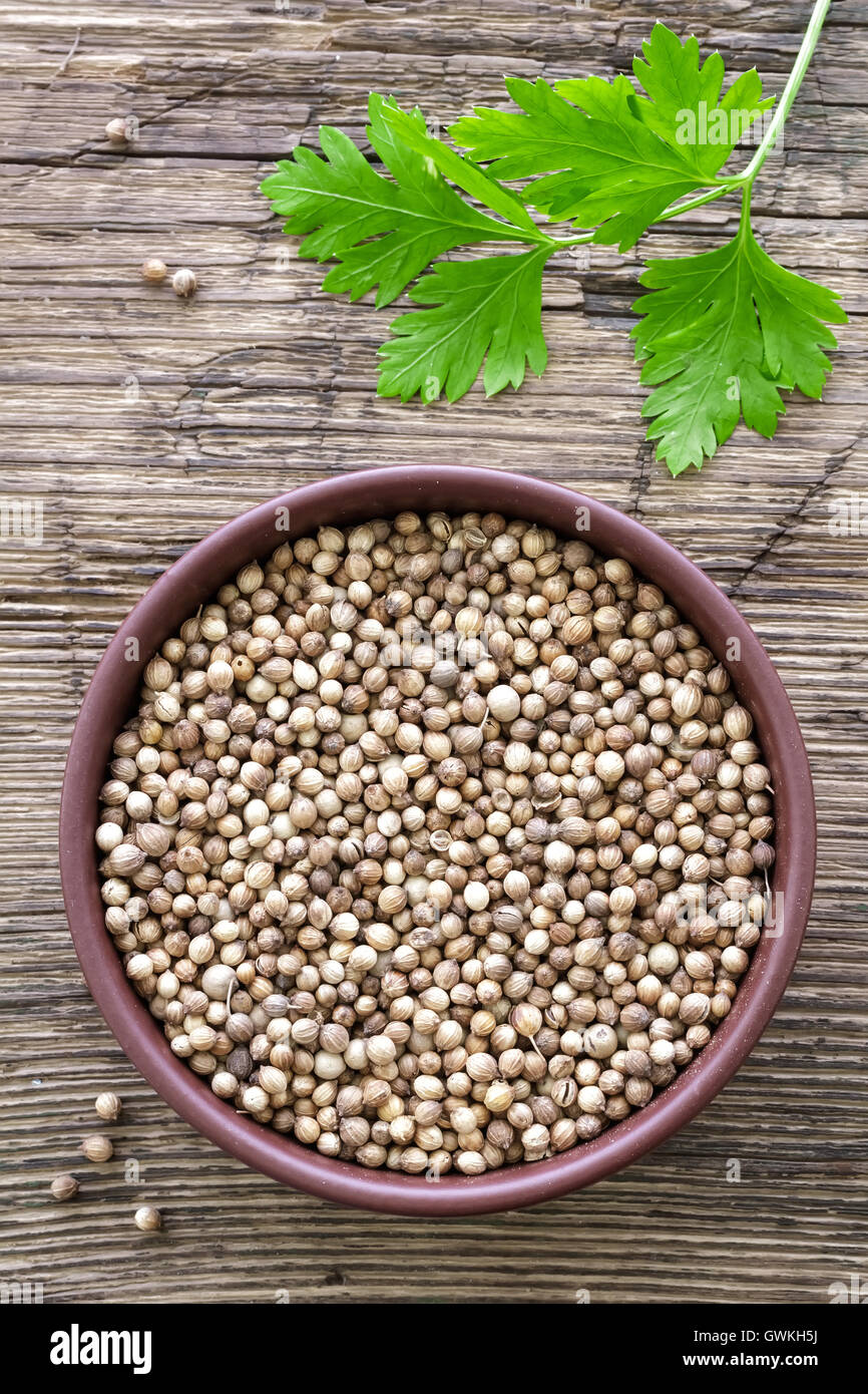 Chinese herbal medicine coriander hires stock photography and images