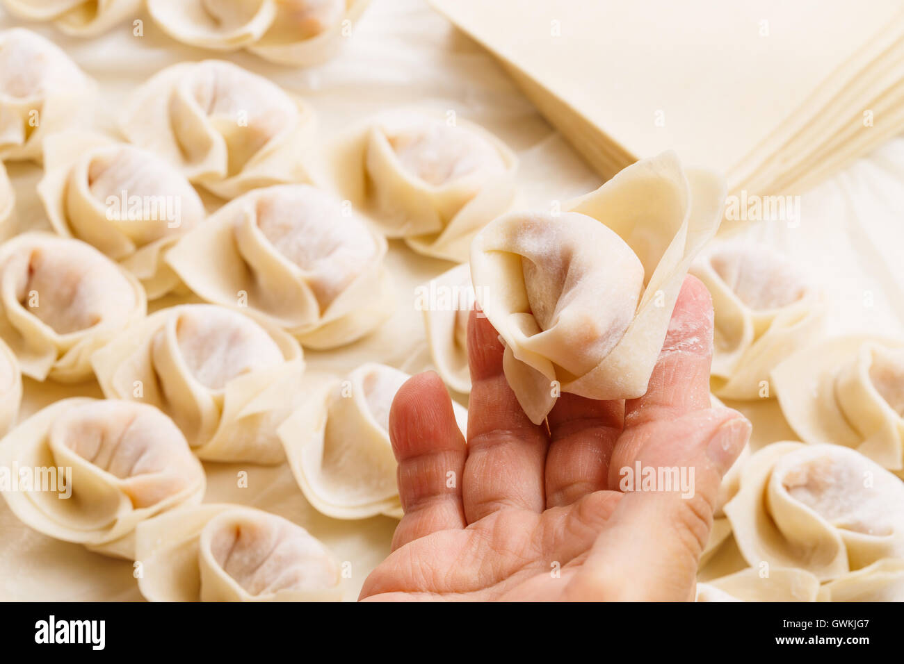 Wrapping of Chinese dumpling Stock Photo Alamy