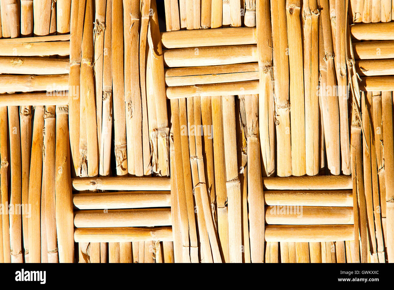 texture bamboo in morocco africa brown natural line closeup Stock Photo