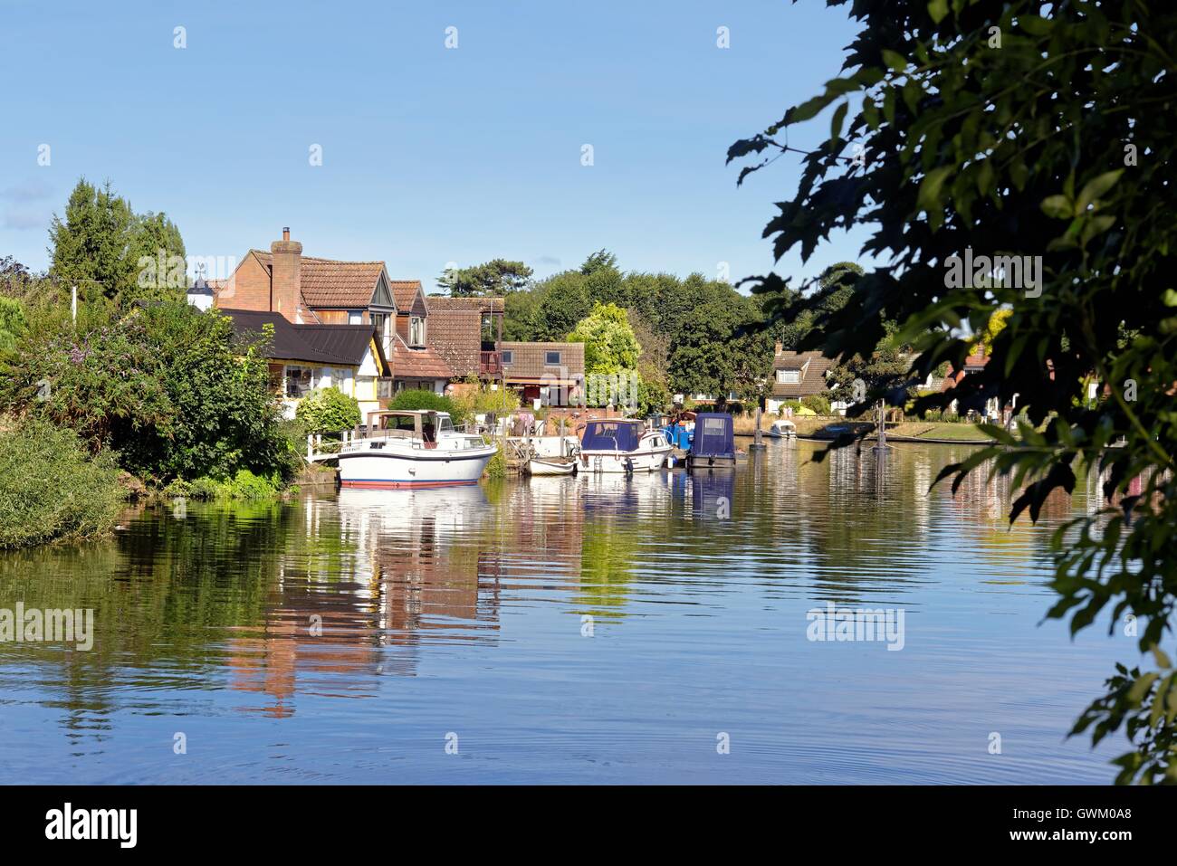 The River Thames at Laleham on a summers day Stock Photo Alamy