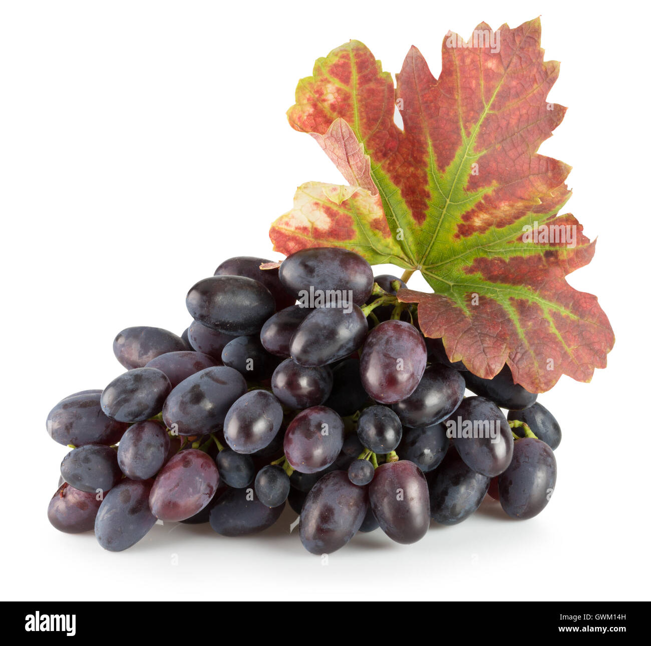 purple grapes isolated on the white background. Stock Photo