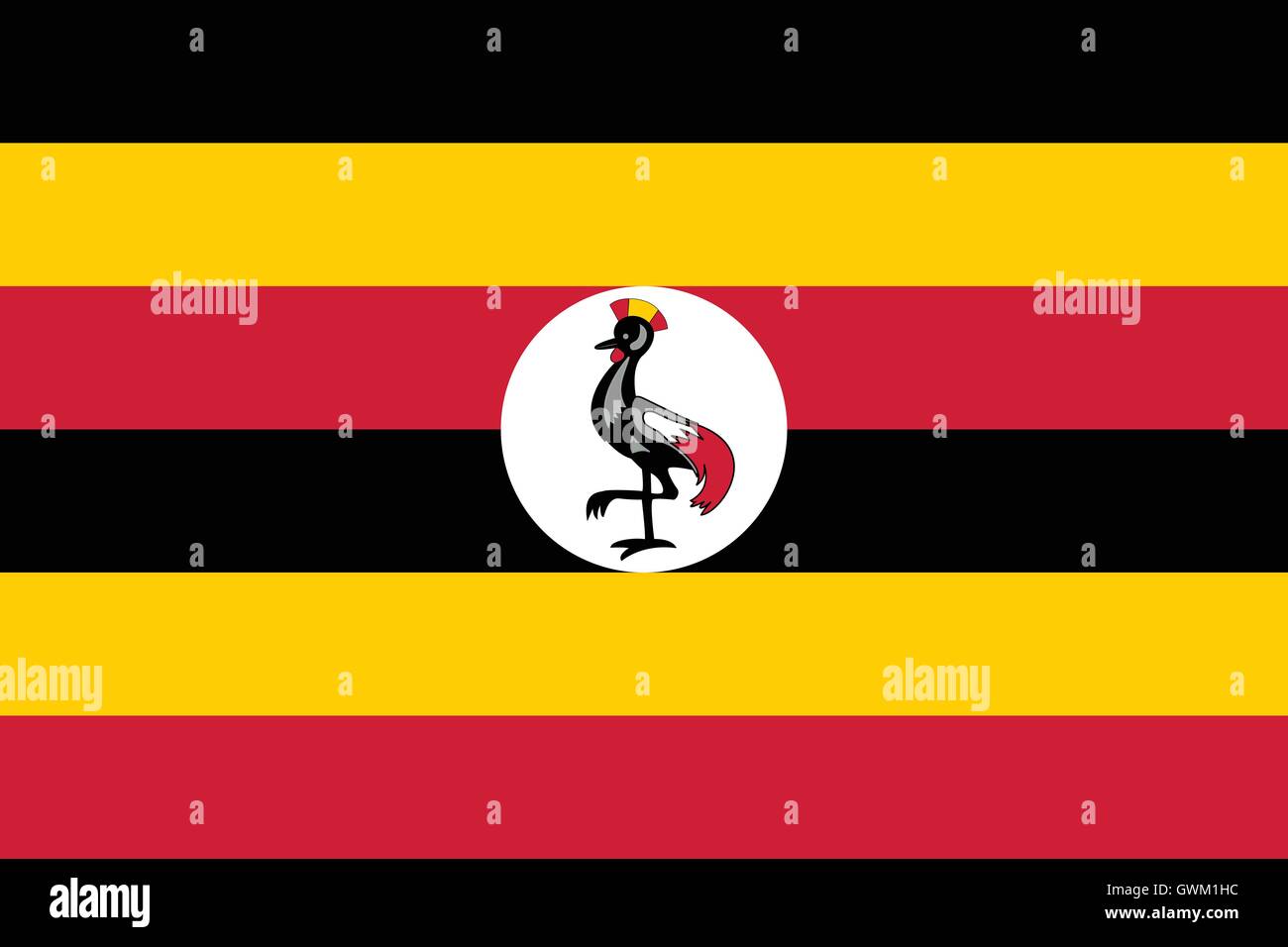 Uganda flag, official colors and proportion, accurate vector