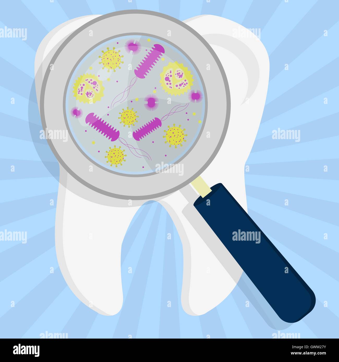 Microorganisms, virus and bacteria, in the tooth enlarged by a magnifying glass Stock Vector