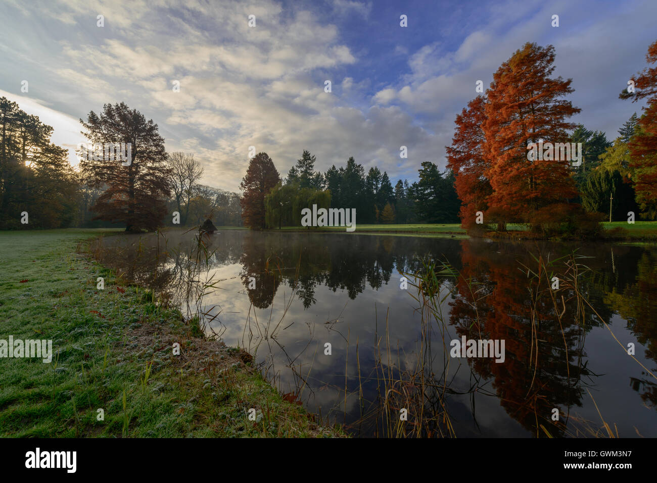 Bremen - View of the 'Schwanenteich - swan pond, located in the Buergerpark, the largest and most popular public park in Bremen Stock Photo