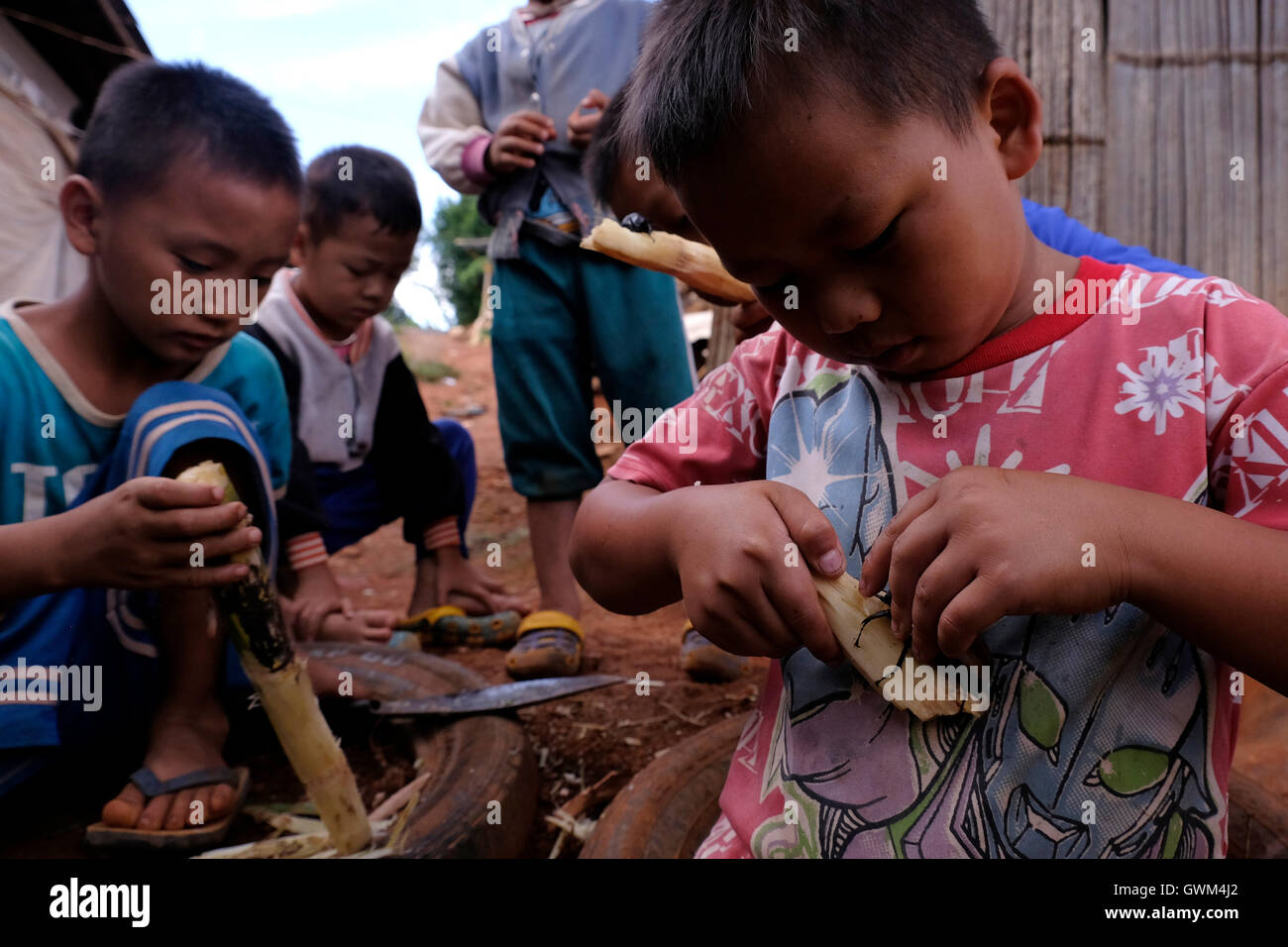 Children of Hmong Tribe playing with fighting rhinocerous beetles or ma-le kwang in Mae Khi village in Mae Rim District, Chiang Mai, northern Thailand. Stock Photo