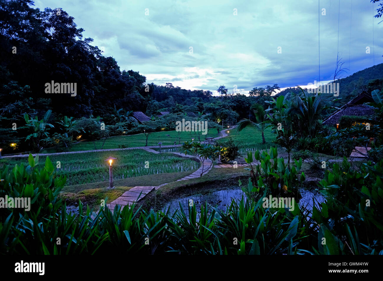 View Of Fern Resort Nestled In A Lush Valley And Rice Paddies Outside