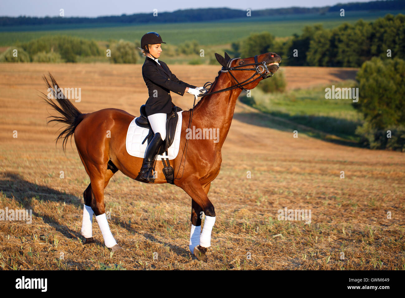 Brown wearing hires stock photography and images Alamy
