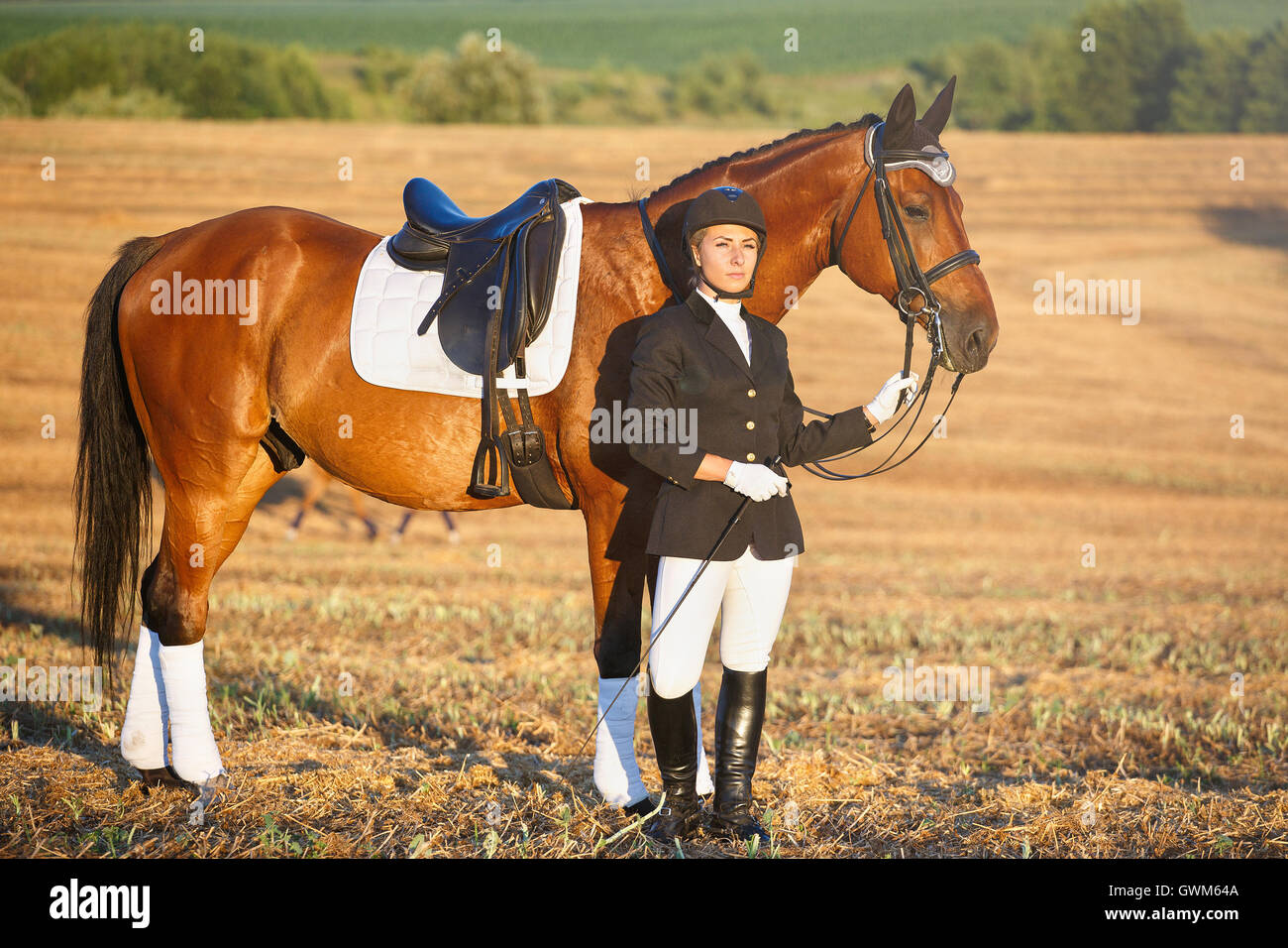 Portrait of a Girl rider on her brown horse Stock Photo - Alamy
