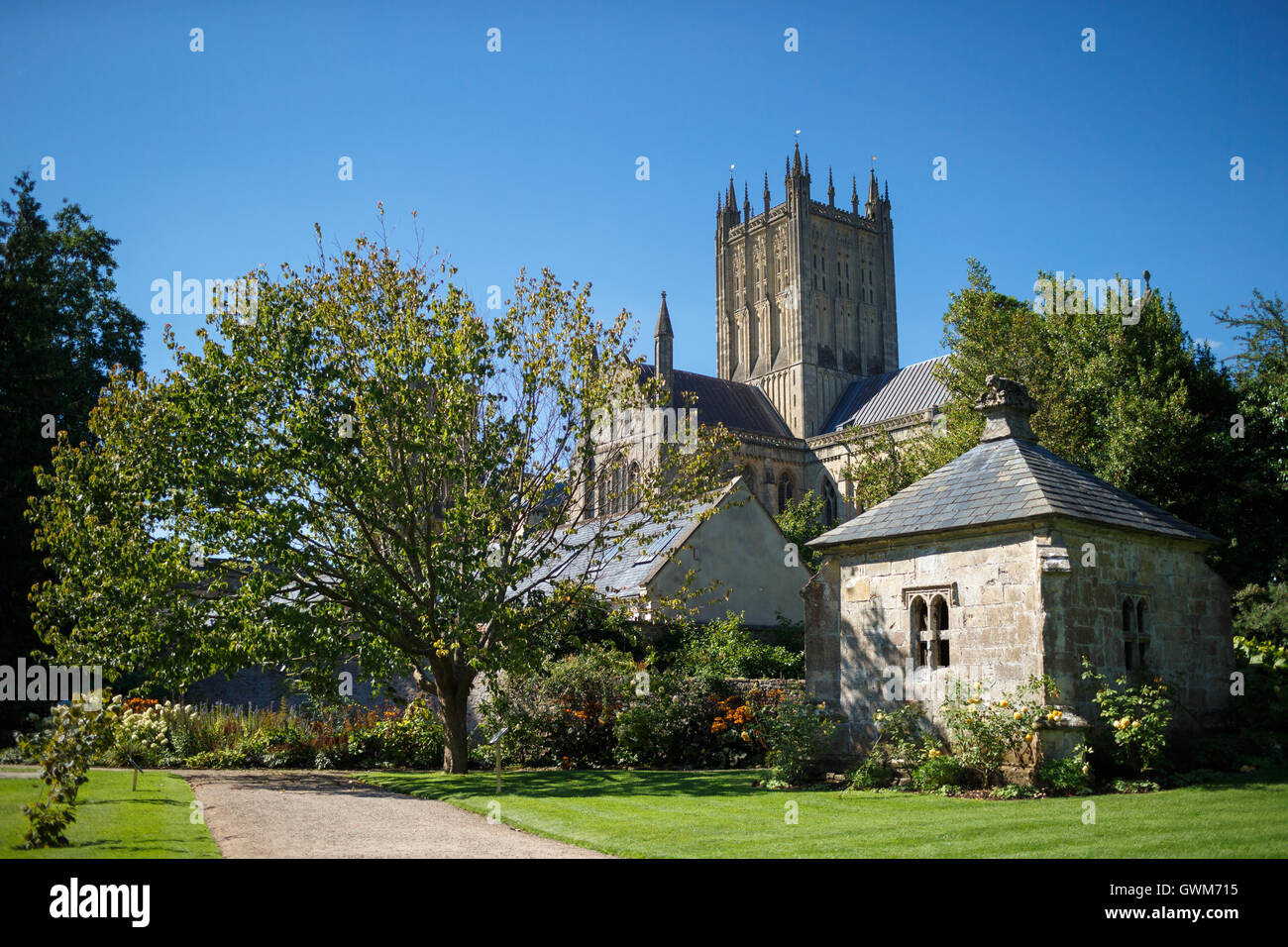 Wells Cathedral Church from the Bishop's Gardens Stock Photo