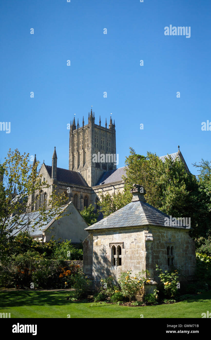 Wells Cathedral Church from the Bishop's Gardens Stock Photo