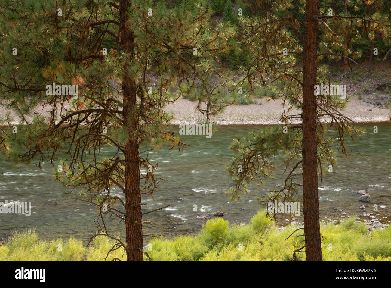 Clark fork river hires stock photography and images Alamy