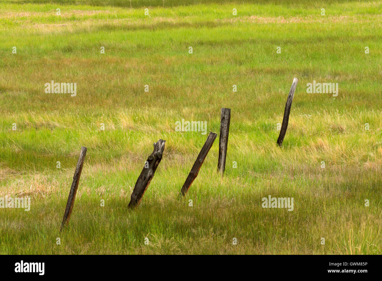 Sheldon Fencing Ranch fence hi-res stock photography and images - Alamy