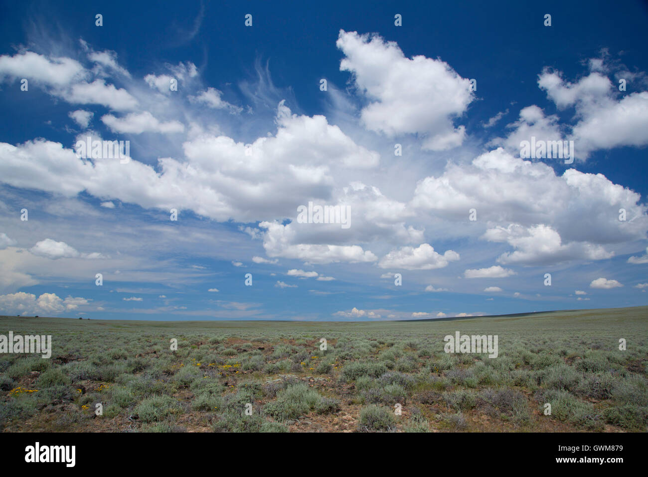 Arid dry desolate sagebrush hires stock photography and images Alamy
