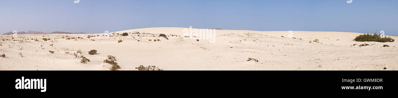 Fuerteventura: sand dunes national park, a 11 kilometers long protected area with sand dunes formed by the Sahara desert sand Stock Photo