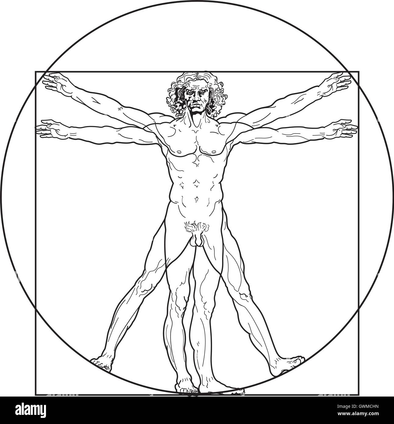 The Vitruvian man (Outline version) Stock Vector