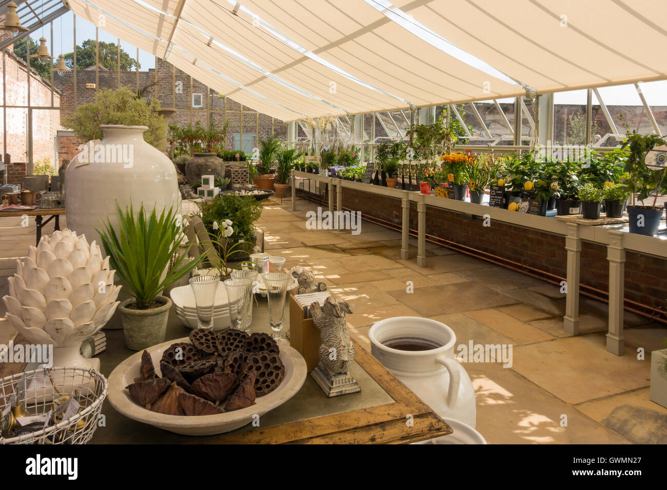 Interior of the Victorian Greenhouse with garden ornaments and plants ...