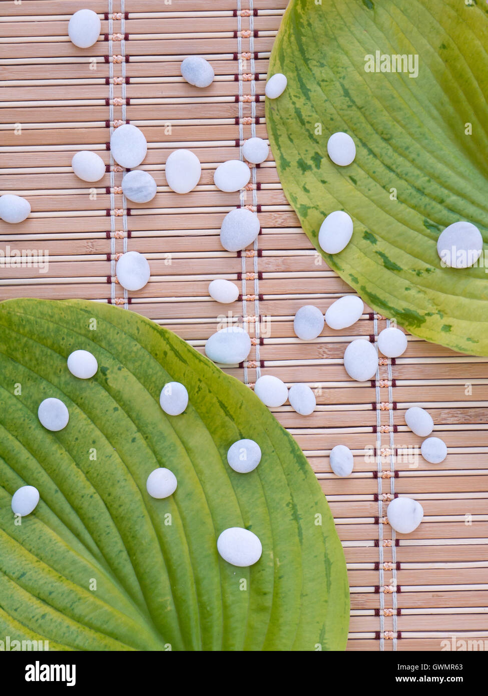 Two green hosta leaves with veins in the opposite corners of the bamboo mat and small white stones Stock Photo