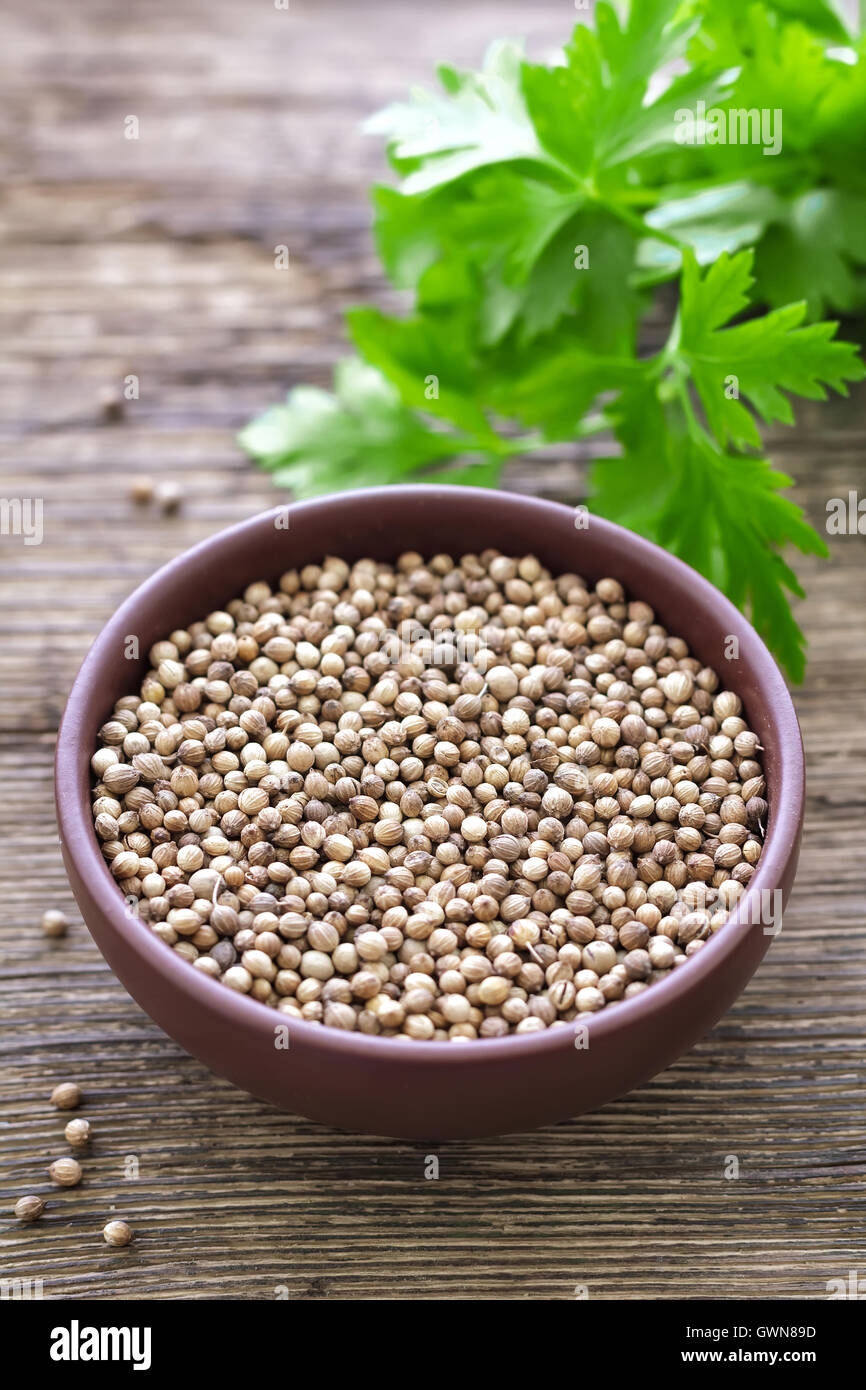 Chinese herbal medicine coriander hires stock photography and images