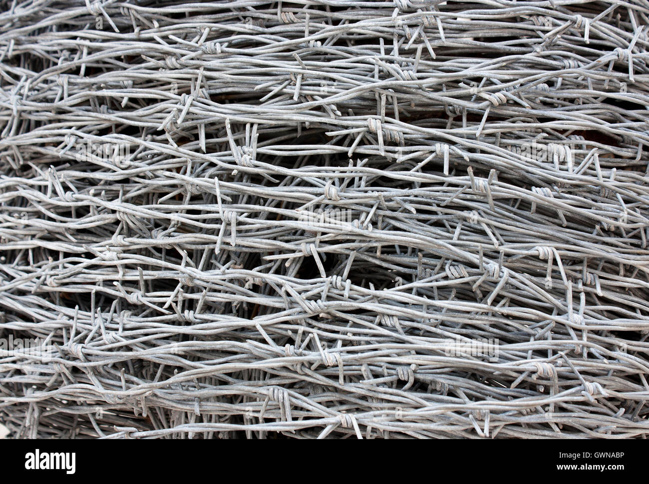 Layers of protective barbed wire Stock Photo