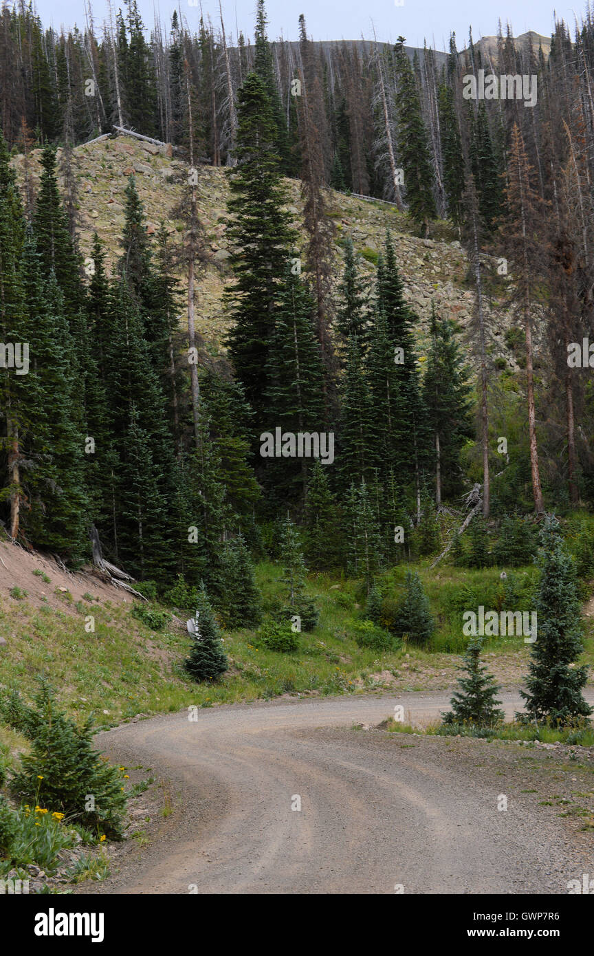 Road on mountain in South Fork, Colorado Stock Photo