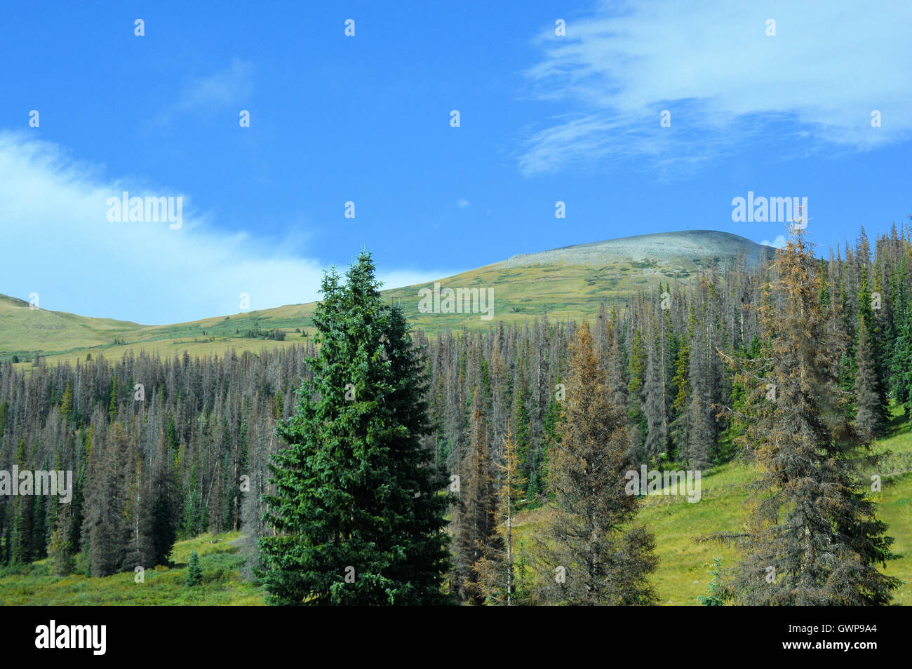 Mountain in South Fork, Colorado Stock Photo Alamy