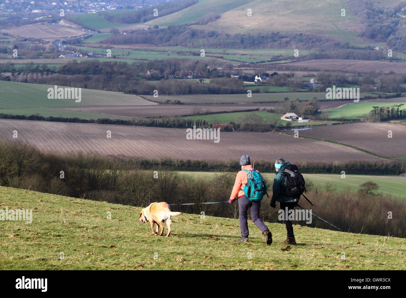 Women walking with dog near Firle Beacon in winter, South Downs National Park, East Sussex, England, UK Stock Photo