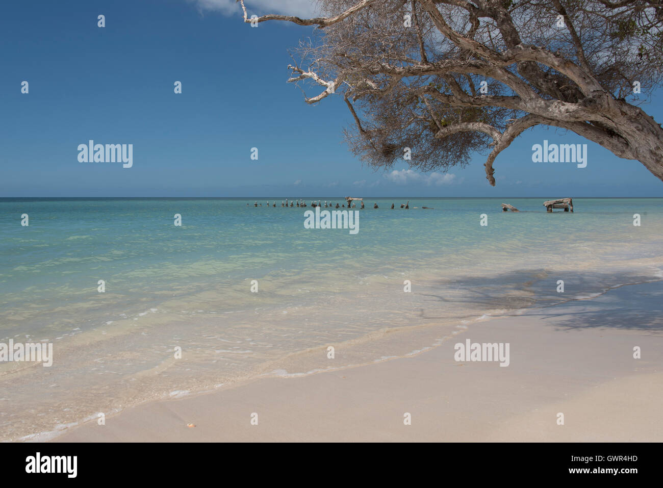 Southwest Puerto Rico Stock Photo Alamy