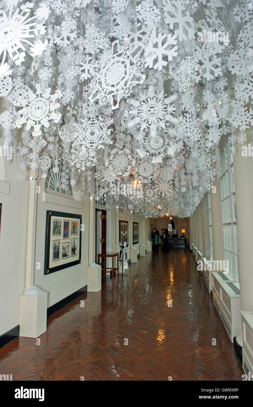 Snowflakes Representing Each Of The 56 States And Territories That