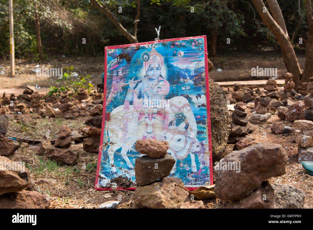 Indian God Photo Frames under a tree near Anantha Padmanabha Swamy