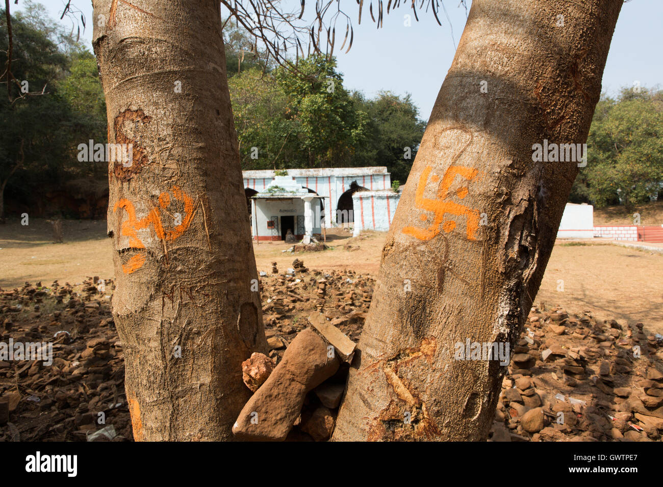 Swastik and Ohm Indian religious symbols painted on a tree at Anantha Padmanabha Swamy Temple at Ananthagiri Hills Stock Photo