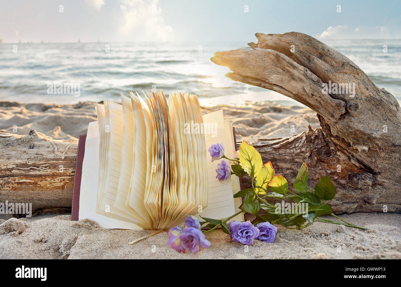 open journal and purple roses in beach sand with driftwood log Stock Photo