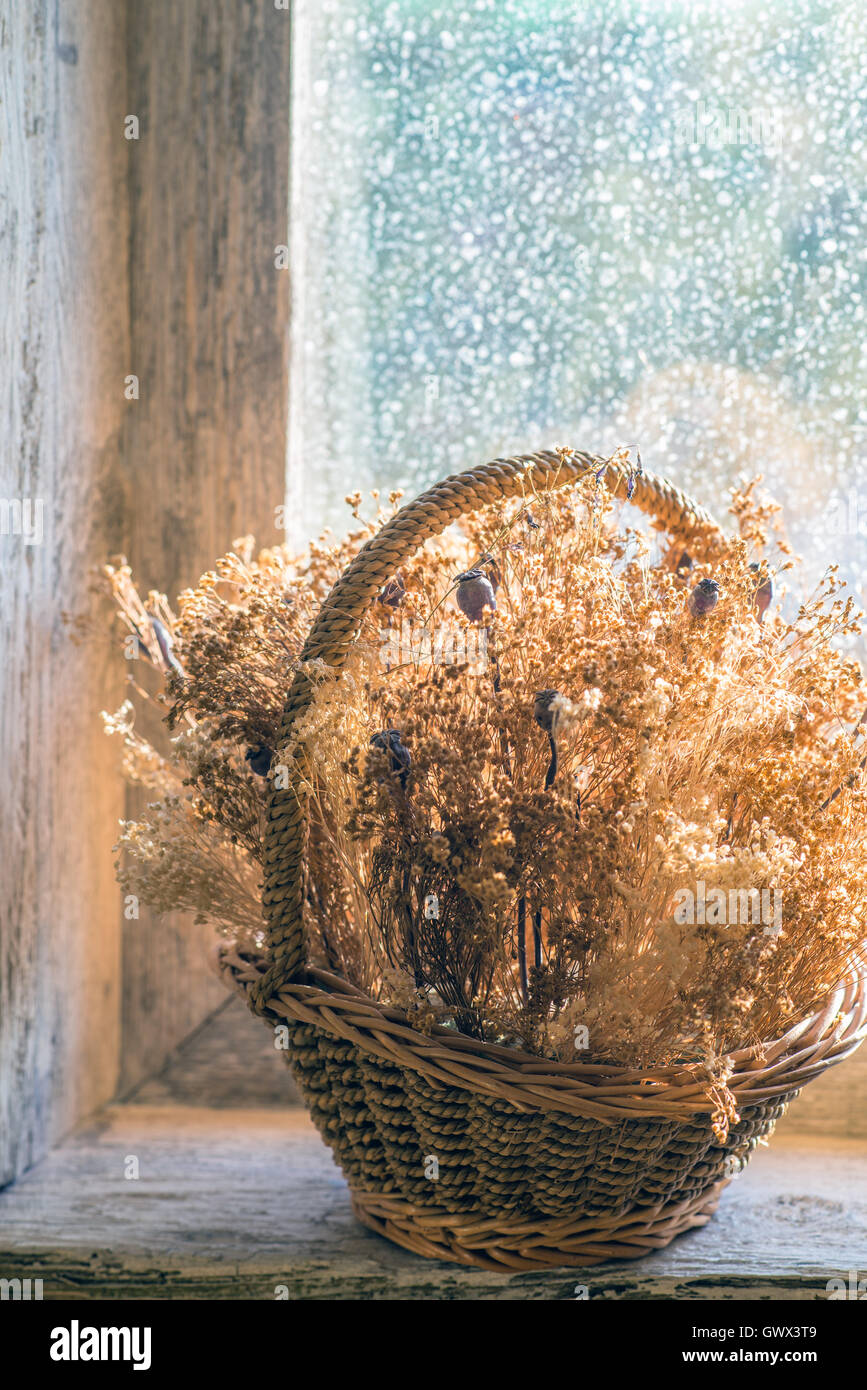Dried flowers on window sill hires stock photography and images Alamy